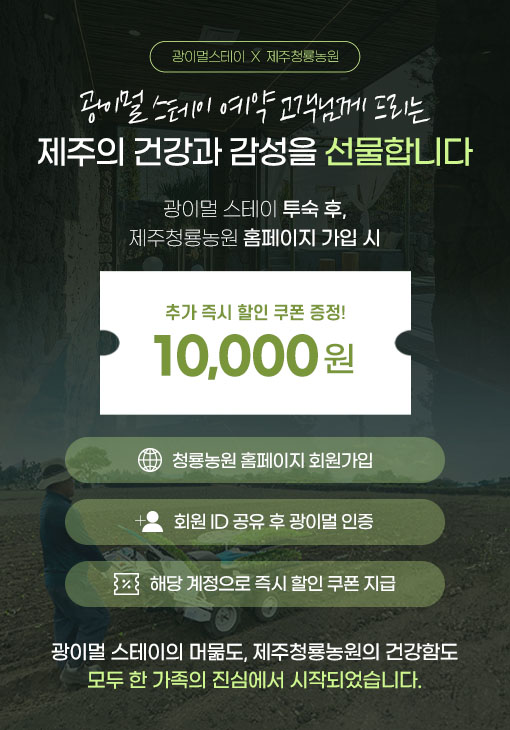 팝업1